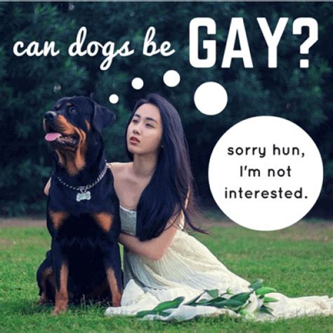 guy and dog porn|Gay male dog sex gay male dog .